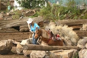 Image Oregon Horse Center